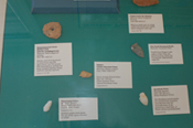 Native People of the Bay Objects